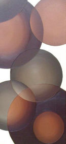 Bubles in Brown - Section I